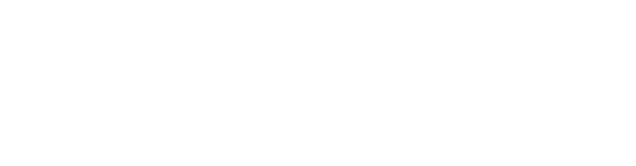 L’ESTHÉTIQUE 